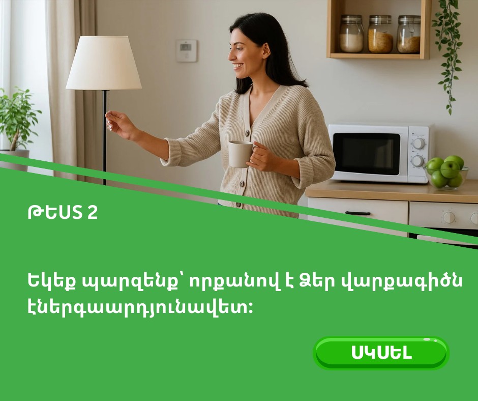 Էներգաարդյունավետ արդիականացում